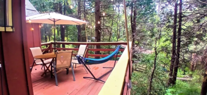 1940s Storybook Knotty Pine Cabin in Crestline, Absolute Privacy