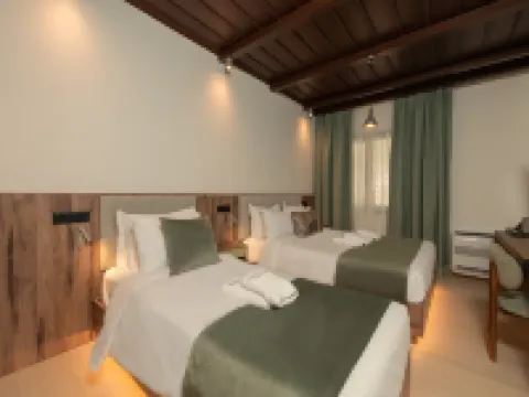 Balcon Makrinitsa Hotels in Makrinitsa