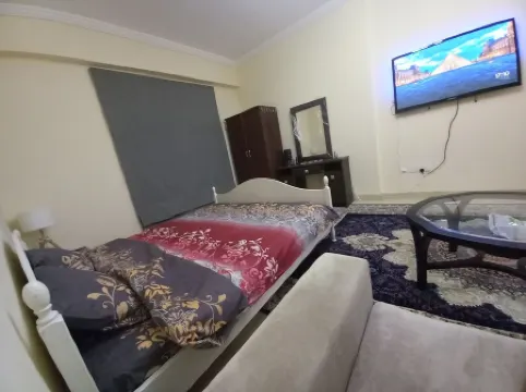 Luxurious Studio Apartment