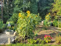 Vacation dream at Brombachsee- 5 stylish rooms with huge garden Hotels in Pleinfeld