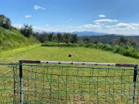 Italian countryside oasis close to Rome (1 hr With Pool, Gym & Calisthenics.