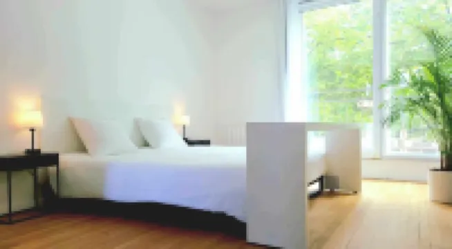 Aparthotel SPA: jacuzzi, sauna, terrace, balcony, hyper center, Place Drouet D'Erlon