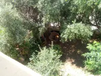 Apartment near the sea and the main course