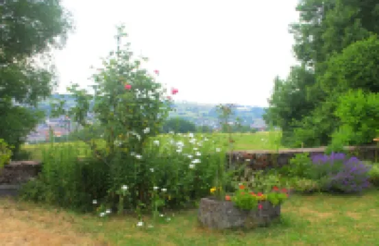 Renovated 1920s house, 15 minutes' walk from town center, quiet location.