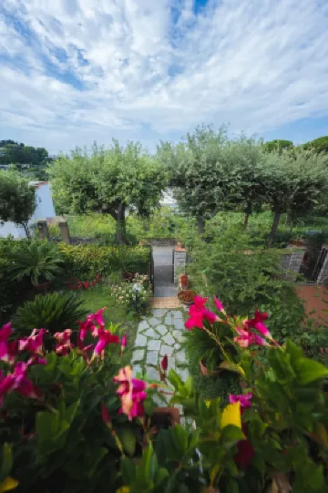 Peaceful oasis for relaxing days with the family