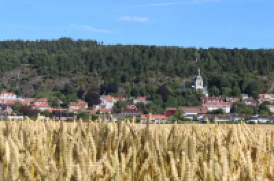 Character  2 bedroom ground floor unit in the heart of Gränna