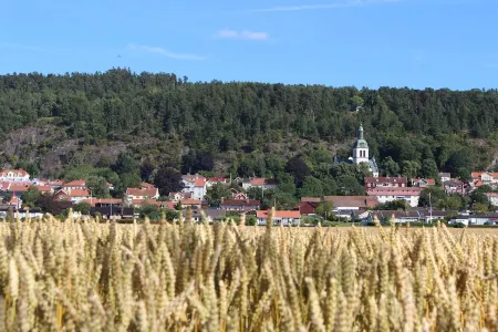 Character  2 bedroom ground floor unit in the heart of Gränna