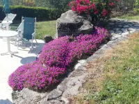 Ancient Borgo restored on top of the hill (Fuoco)