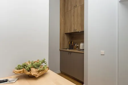 Private hotel type 1-bedroom apartment near the central rail station.