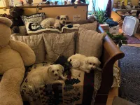 Charming Blue Room with Wifi Hotel a Lafayette