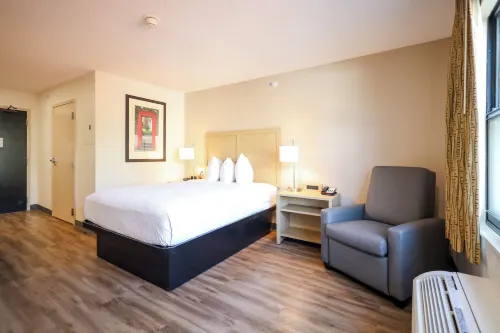 Extended Stay America Suites - Cleveland - Beachwood - Orange Place - South - Pet friendly
