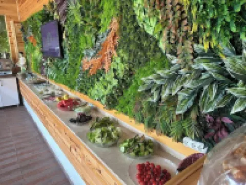 Amsterdam Boutique Hotel & Suite Hotels in Kemer