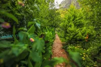 Likya Evleri Olympos