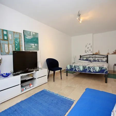Apartment Zorica - One Bedroom Apartment with Terrace (ST)