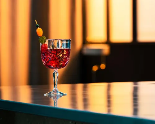 阿訥馬斯中心日內瓦港諾富特 休閒及娛樂 Photos