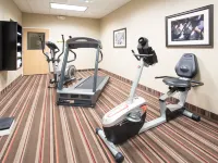 Holiday Inn Express & Suites LEXINGTON by IHG Hotels in Lexington