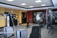 Hampton Inn & Suites Dallas-Lewisville/Vista Ridge Mall - Træningscentre
