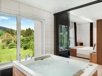 Movenpick Resort and Spa Fruske Terme - Hot Springs