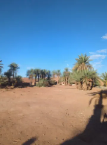 卡薩布沙漠營地