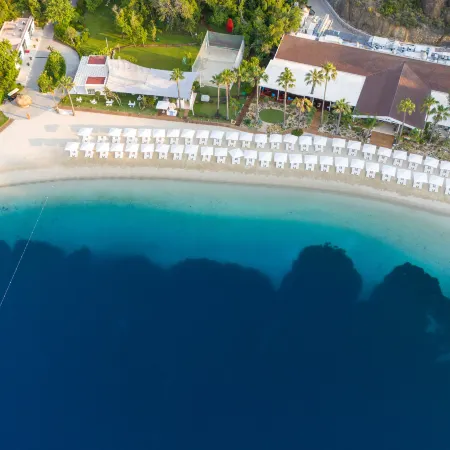 D Maris Bay