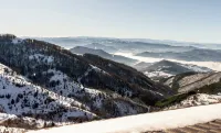 Aris KOP Kopaonik - Apartments
