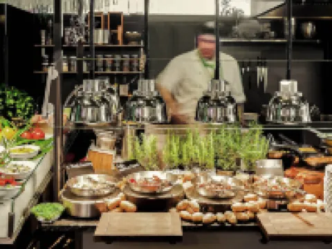 Ibis Vienna Airport Hotels in Schwechat