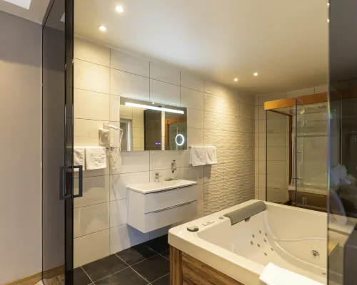 Movenpick Resort and Spa Fruske Terme Rooms Photos