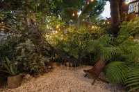 Hotel Caracol Isla Mujeres Hotels near Ruins of the Temple of The Goddess Ixchel