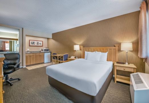 이코노 로지 인 & 스위트