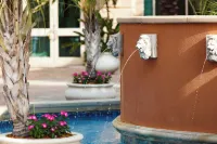 Renaissance Tampa International Plaza Hotel - Rooftop Pools