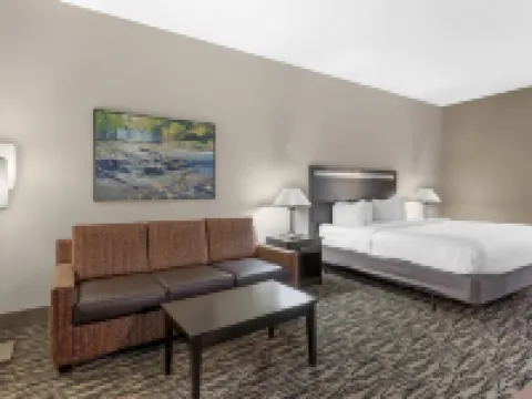 Best Western Plus McDonough Inn  Suites Hotels in Henry County