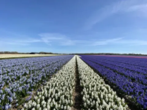 靠近斯庫爾杜嫩的斯庫爾套房