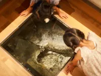 Natural Hot-Spring - Arifuku Onsen Yoshidaya - Hot Springs