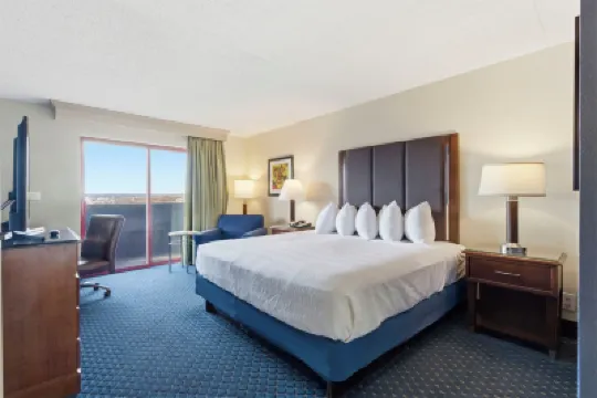 래디슨 호텔 브랜손  호텔