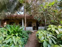 Palm Grove Beach Resort