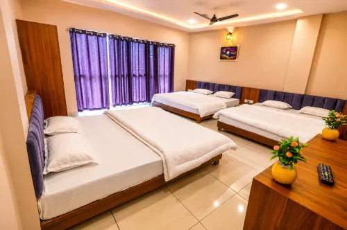Hotel Dev Krishna Palace - Airport Shuttle