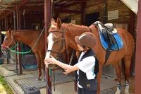 Horse Riding Club Amagi Horse Village - 3 stjerner