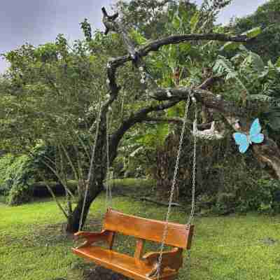 Canopy Wonders House: A Place Among Tree Tops! Hotel Exterior