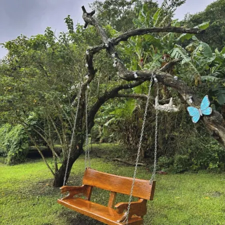 Canopy Wonders House: A Place Among Tree Tops!