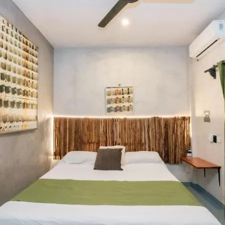 Casa Shalom Green