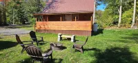 Cozy cabin located in Brasher Falls, NY. Pet friendly! - Chalets