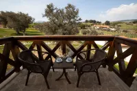 Vinifera Vineyards Hotel - Mountain view