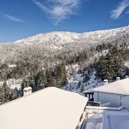Grand Forest Metsovo - Leading Hotels of the World