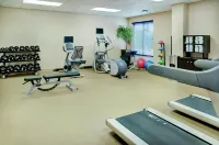 Hilton Garden Inn Toronto/Burlington - Gym