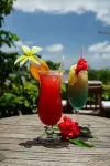 Seaview Lodge and Restaurant Hotels in Nuku'alofa