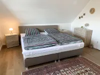 Kleine Möwe