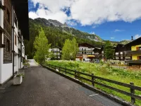 Cesa Palua - Pet friendly