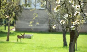 a dog and a puppy are playing in a grassy field near a tree with white flowers at La Parenthèse