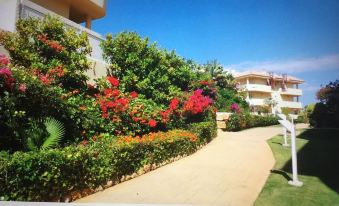 Fabulous Hillside Apartment with Beautiful Terrace 5 Minutes Walk from Beach