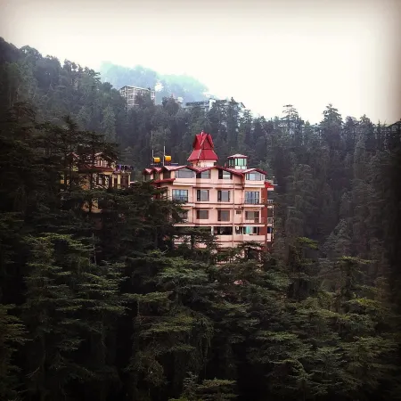 The Bodhi Tree Bnb
